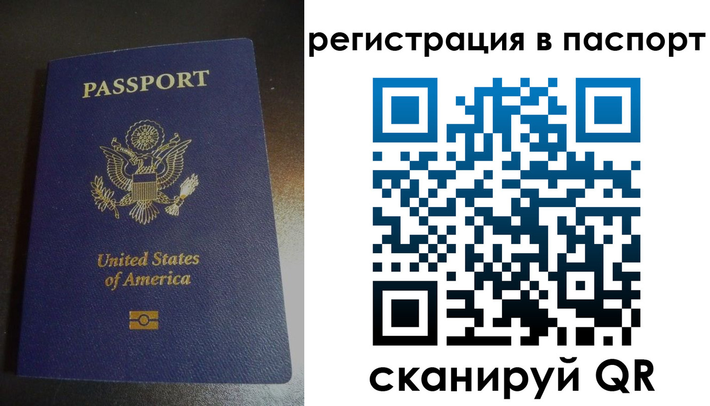 прописка для школы в Камешково